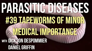 Parasitic Diseases Lectures #39: Tapeworms of minor medical importance