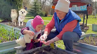 влог: 24 ЧАСА НА УЧАСТКЕ! ЗАСТРЯЛИ В ТУАЛЕТЕ! НОВЫЙ ЗАБОР