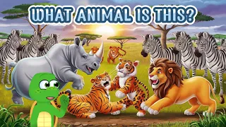 ANIMALS FOR KIDS  Teach your baby to learn the names of Zebra Panther Lion Tiger Rhino Turtl TV