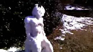 Chris Lee vs Chuck Norris (the Snowman)