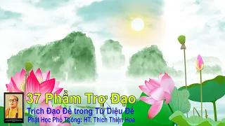 37 Phẩm Trợ Đạo | Đạo Đế - Phật Học Phổ Thông  | HT  Thích Thiện Hoa