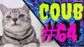 64 Лучшие приколы недели (кубы, coub, коуб, best coub и best cube) - приколы 2021 🔥