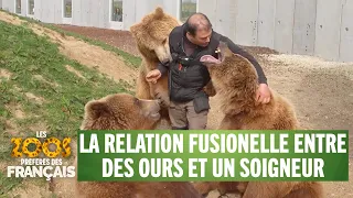 Des ours prennent un soigneur pour leur papa - Les zoos préférés des Français