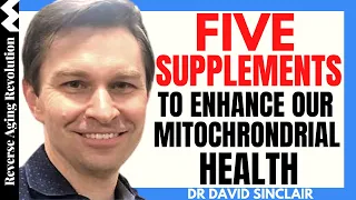 5 Supplements To Enhance Our Mitochondrial Health | Dr David Sinclair Interview Clips