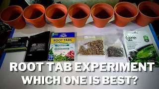 Aquarium Root Tab Experiment - Putting Root Tabs to the Test to Find the Best One