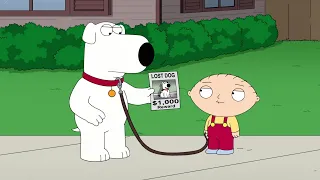 Family Guy - A missing dog, a $1,000 reward