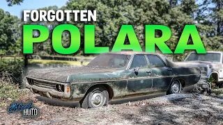 FORGOTTEN 20+ YEARS! Will This 1971 Dodge Polara RUN and DRIVE 250 Miles Home?