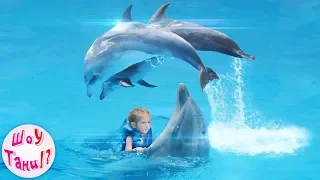 🐳 ТАНЯ ПЛАВАЕТ с ДЕЛЬФИНАМИ! 🐬 Дельфинарий НЕМО (NEMO) в ОДЕССЕ! 🌊  Шоу ДЕЛЬФИНОВ! 🎉 NEMO ODESSA! 💦