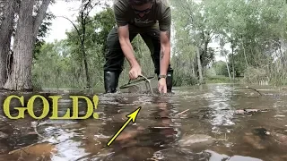 Gold Prospecting in Colorado - FAILURE AND SUCCESS