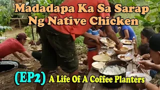 Madadapa Ka Sa Sarap Ng Native Chicken Halang #ep2 Life Of A Coffee Planters