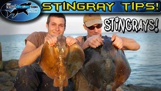 Stingray Fishing Tips | TAFishing