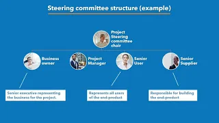 Project Management Structures: Steering committee