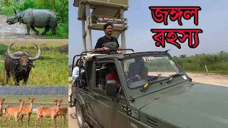 কাজিরাঙা জঙ্গলের ভিতর জিপ সাফারি । Kajiranga National park |