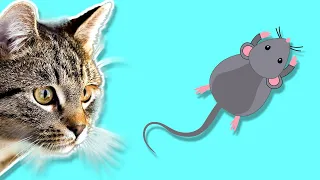 Новая серия игры для кошек, котов и котят! На экране шустрые мышки бегают для вашей кошки!