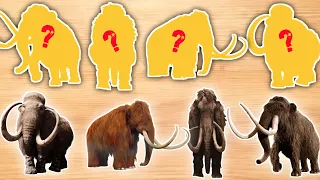 CUTE ANIMALS Elephant Woolly Mammoth, Mamut, Holhut (Choose The Right Elephant Puzzle) #elephant