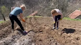 RAD JE STVORIO ČOVJEKA ,SAMO DOMAĆE I NEMA ZIME.SULTAN PONOSAN NA SVOJ ŽIVOT!