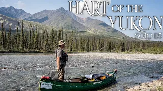 Hart of the YUKON- 14 Days Solo Camping in the Yukon Wilderness - E.5- Caribou & Wild Berries