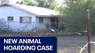 Gilbert Police looking into animal hoarding case