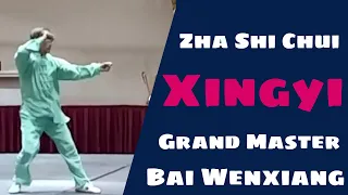 Xingyiquan Form Grand Master Bai Wenxiang ZhaShiChui 河北形意拳 雜式捶 白文祥大师