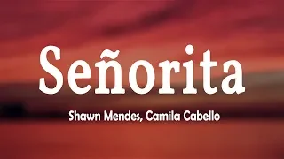 Shawn Mendes, Camila Cabello - Señorita (Lyrics Video)