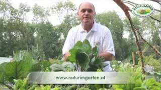 Naturgarten kurz erklärt: Mulchen