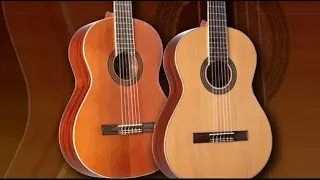 Best Classical Guitar : You Should Choose Once!