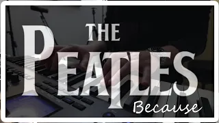 The Beatles - Because (Cover) I'm Pete, This is The Peatles...