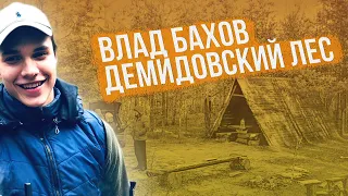 Влад Бахов. Демидовский лес / автор - сообщество ВК "В поисках истины"