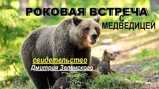 РОКОВАЯ ВСТРЕЧА С МЕДВЕДИЦЕЙ  - Вячеслав Бойнецкий