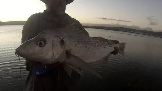 Fishing Knysna- Fishing for Grunter (Sight Fishing), Breezers Fishing