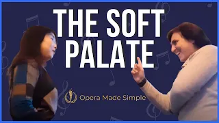 The soft palate | Singing lessons with italian Soprano Capucine Chiaudani