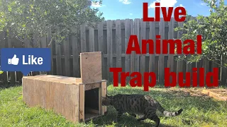 Live Animal Trap Build