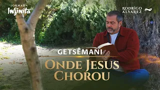 Onde JESUS CHOROU? Como foi a AGONIA de Jesus no GETSÊMANI, no Monte das Oliveiras?