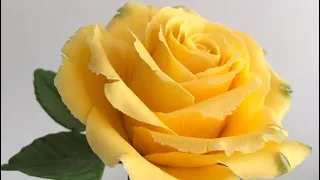 How To Make The Most Realistic Sugar Rose/Trandafir Din Pasta De Zahar
