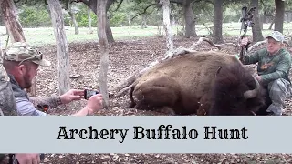 Hunting Buffalo with a Bow at Texas Hunt Lodge