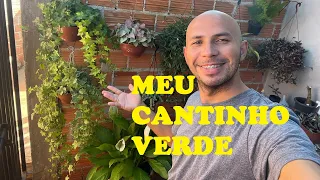 Meu Cantinho VERDE - Plantas Novas