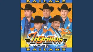 Bailame