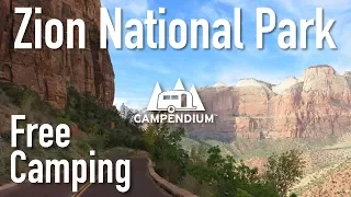 Free Camping Near Zion National Park!