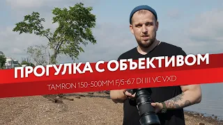 Tamron 150-500mm f/5-6.7 Di III VC VXD. Прогулка с объективом.