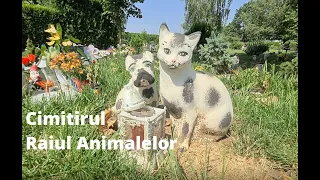 Cimitirul Raiul Animalelor