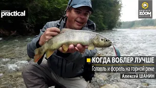 Когда воблер лучше. Голавль и форель на горной реке. Алексей Шанин. Anglers Practical