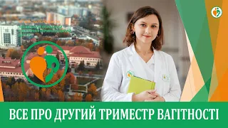 Все про другий триместр вагітності | Уляна Дем’янчук.