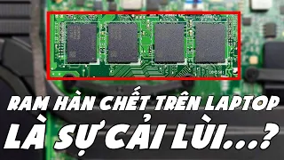 Chia Sẻ Thật #43: RAM HÀN CHẾT đang là điểm CẢI LÙI của Laptop trong năm 2023...? | LAPTOP AZ