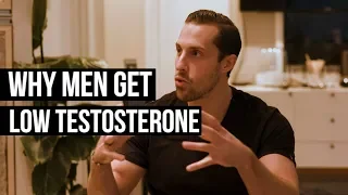 Low Testosterone: Why It's So Common & Tips to Fix