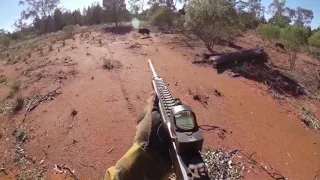 Trying of ............pigs with the Marlin 30-30 SS. Edit 10.5.12 Australia