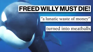 What Happened to KEIKO? | The Whale from FREE WILLY