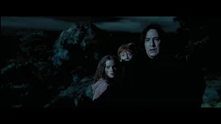 Harry Potter and the Prisoner of Azkaban/Best scene/Daniel Radcliffe/Gary Oldman/David Thewlis