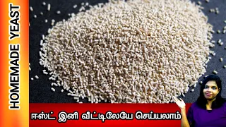 Yeast in Tamil | How to make yeast at home in Tamil | DIY | Homemade yeast in Tamil