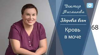 Доктор Нигманова. Кровь в моче