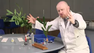 Transpiration: the power of the potometer